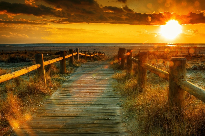 landscapes-06