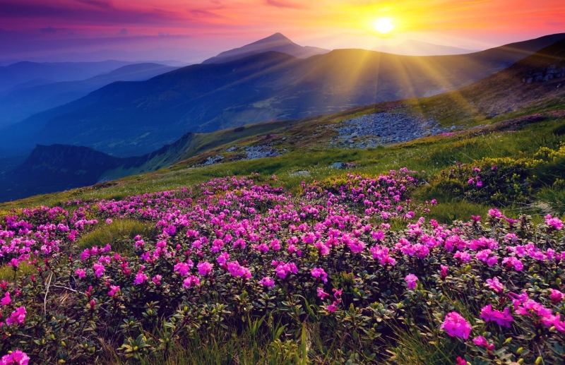 landscapes-15