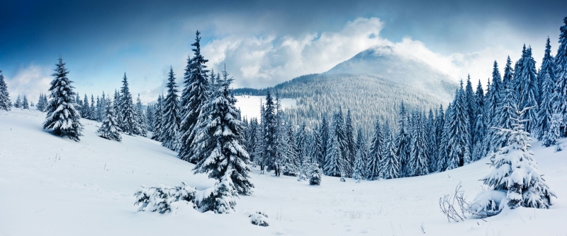 landscapes-16